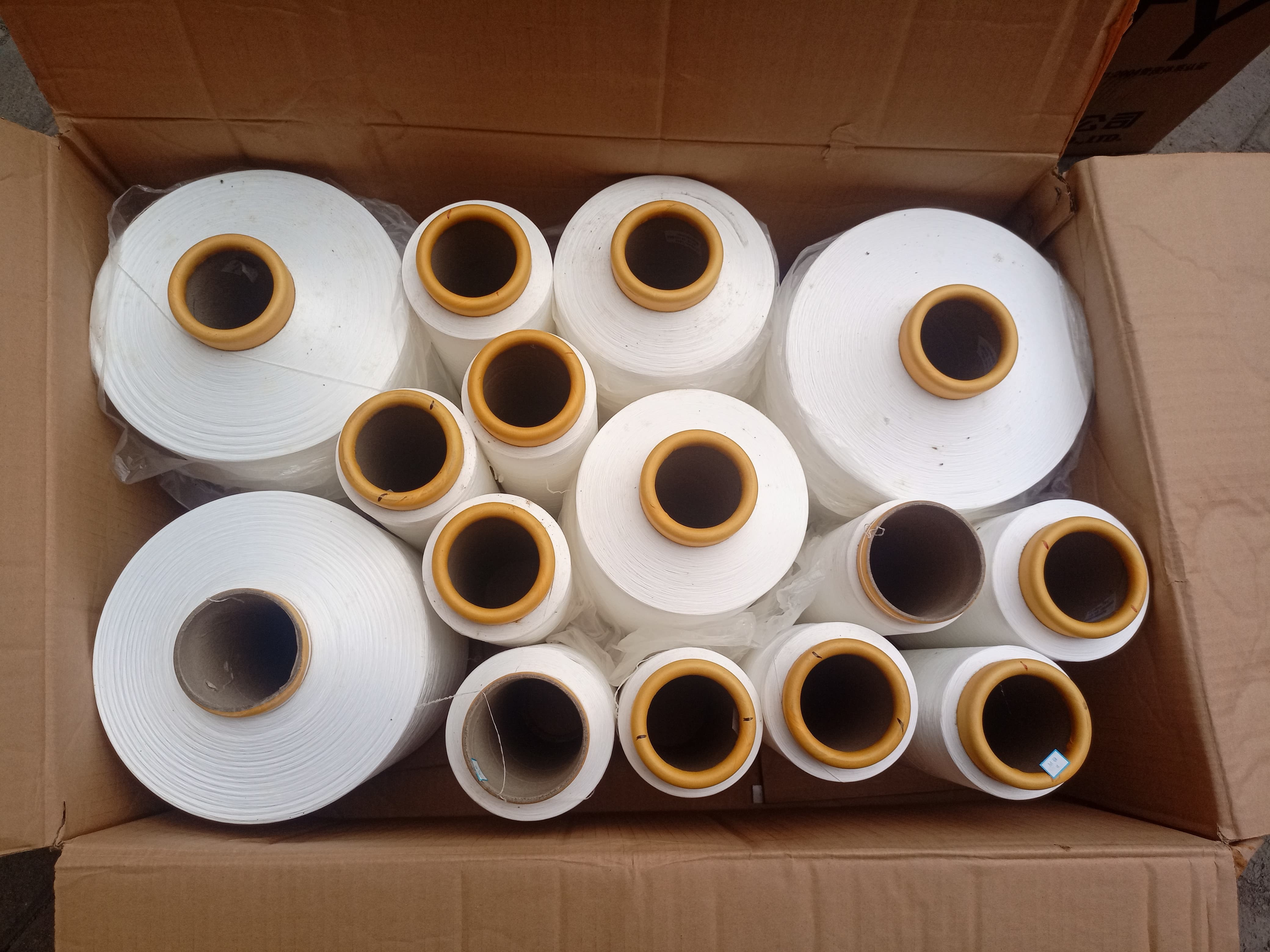 Polyester Yarn